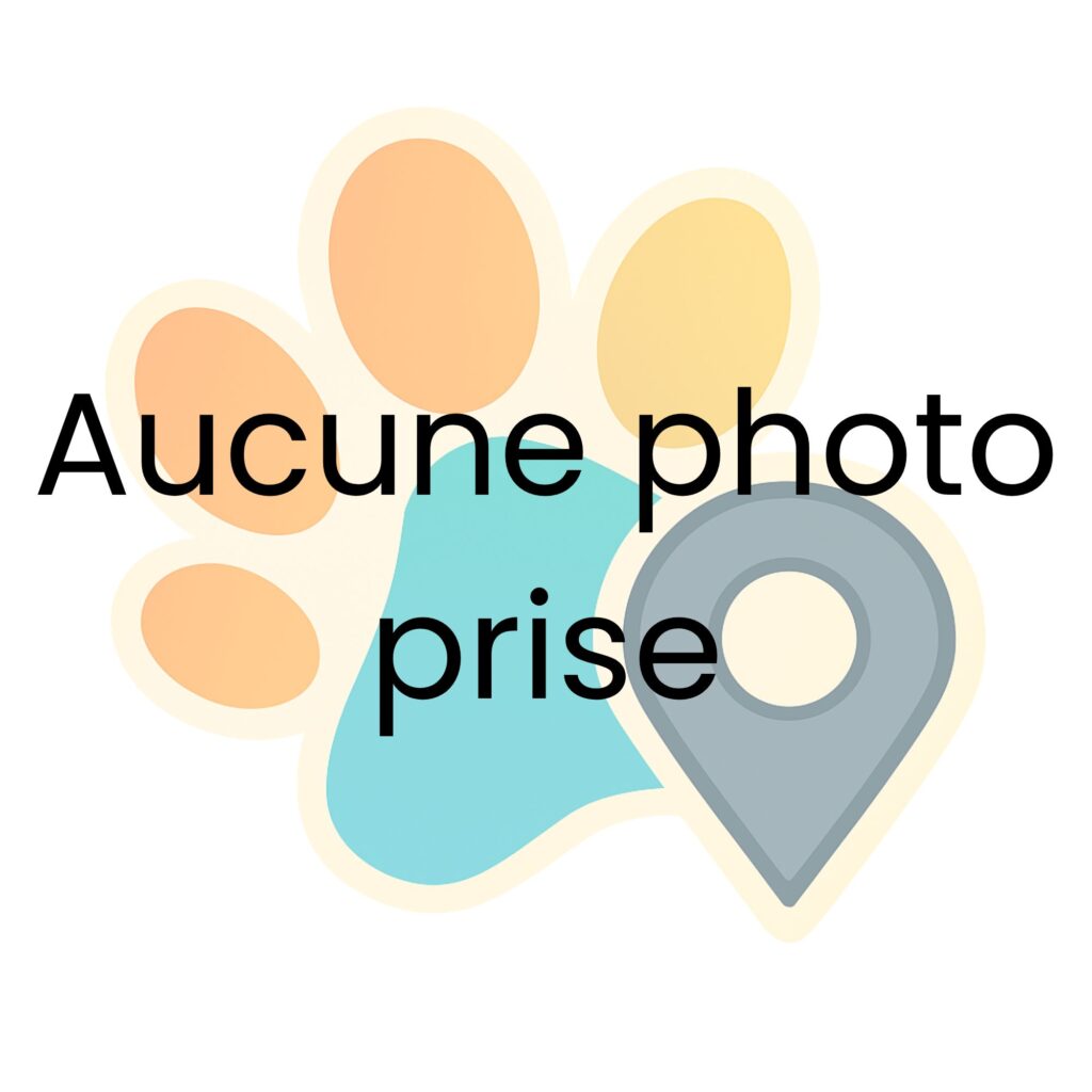 SAM Signale un animal mort_Pas de photo